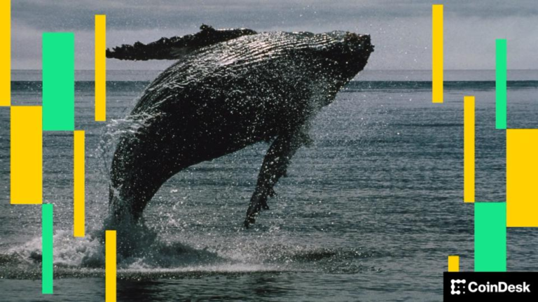 'White Whale' memecoin slides 60% after top holder dumps $1.3 million
