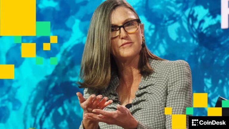 Cathie Wood’s ARK buys over $70 million of crypto stocks as bitcoin slides
