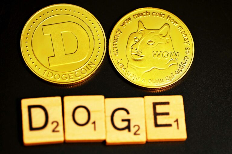 House Of DOGE Partnership Opens New International Doors