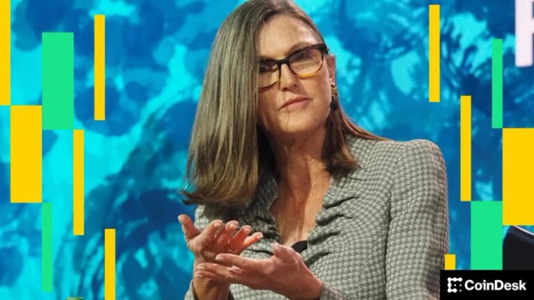 Lower volatility, bigger allocations: Ark Invest sees bitcoin entering its next chapter