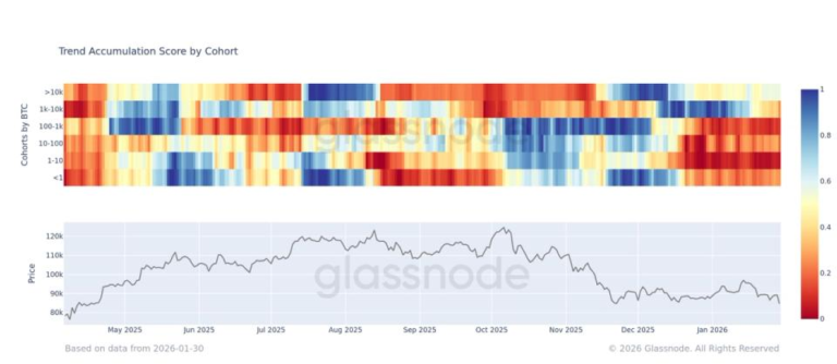 ‘Whales’ are buying the dip while everyone else runs for the exits