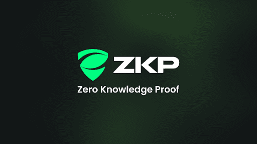 Zero Knowledge Proof Draws Investors’ Attention With Its Live Infrastructure and 300x Potential! Cardano & Bitcoin Cash Lose Steam