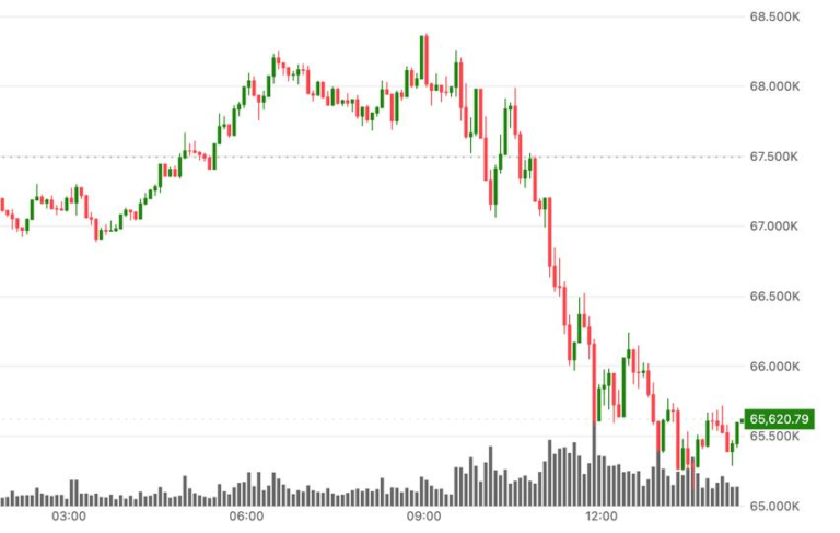 BTC falls back to $65,000 software sector slides 3%
