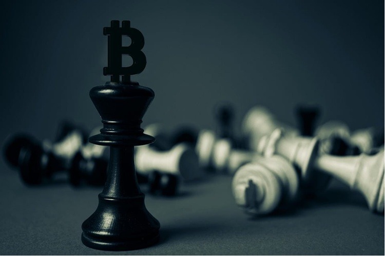 Bull360 Strengthens Its Position With Consistently High Trader Ratings