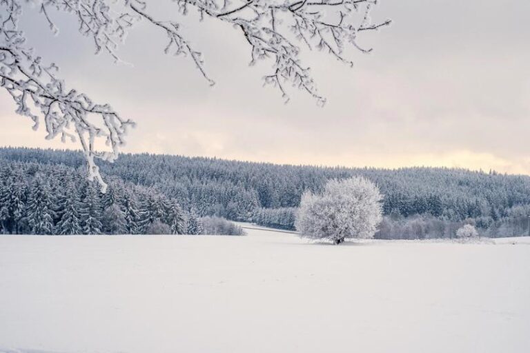 Crypto markets feel the chill, Base, ether.fi reorganize layer-2 landscape: Crypto Daybook Americas