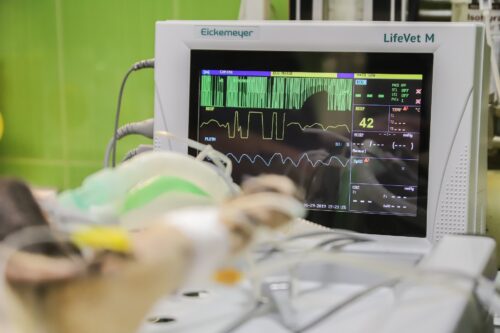 Emirates Health Services and Boston Health AI launch the UAE’s first AI physician assistant to transform patient care