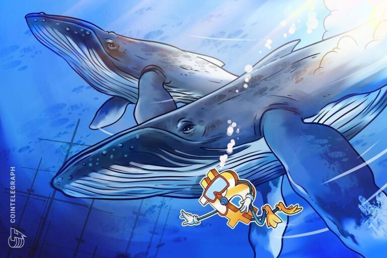 “New” Bitcoin Whale Losses Deepen as Binance Inflows Rise