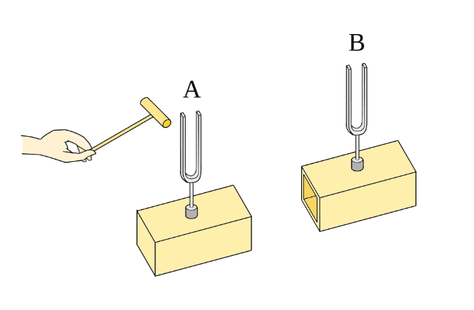 A Complete Guide to Purchasing, Using, and Maintaining Tuning Forks