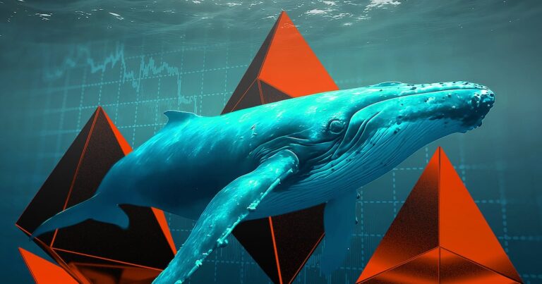 A crypto user accidentally swapped $50m for $37,000. Here’s where the money ended up – DL News