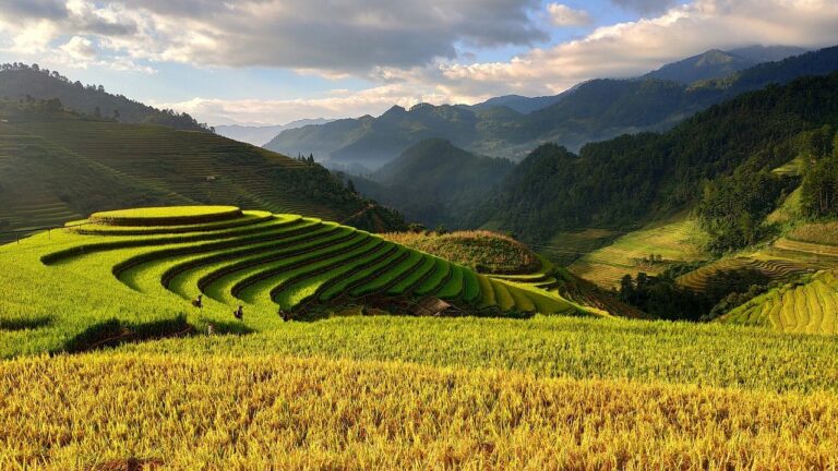 ADM launches new partnership with American Farmland Trust as part of its Farm Forward Initiative to strengthen american farmer resilience