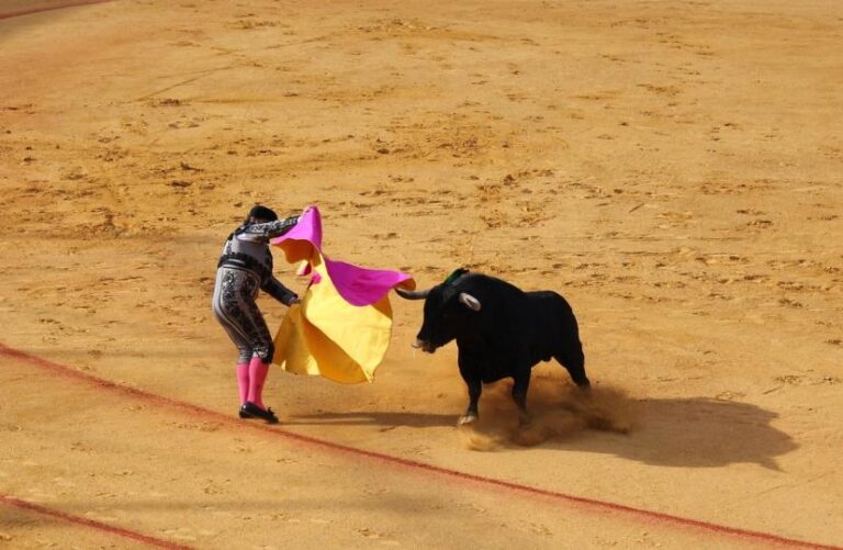 Bitcoin $80,000 play is now the most popular bet in derivatives: Crypto Daybook Americas