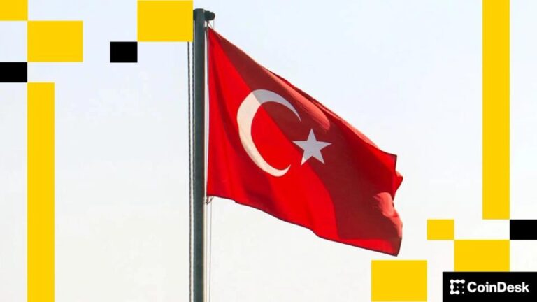 Turkey’s ruling party unveils 10% crypto income tax proposal
