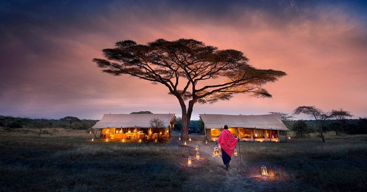 Why the Serengeti Is Perfect for a Honeymoon