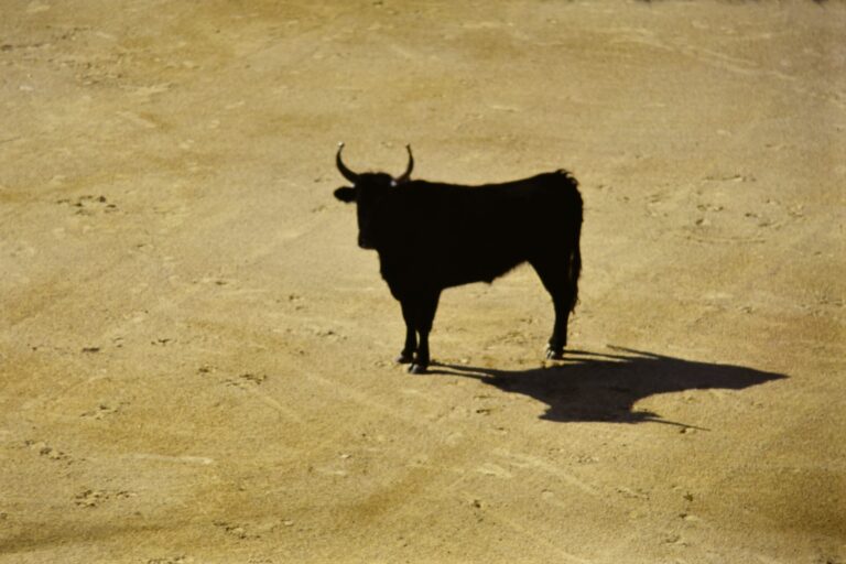 Bitcoin Liquidity Rotation Turns Bullish Again As Stablecoin Shelter Starts To Unwind