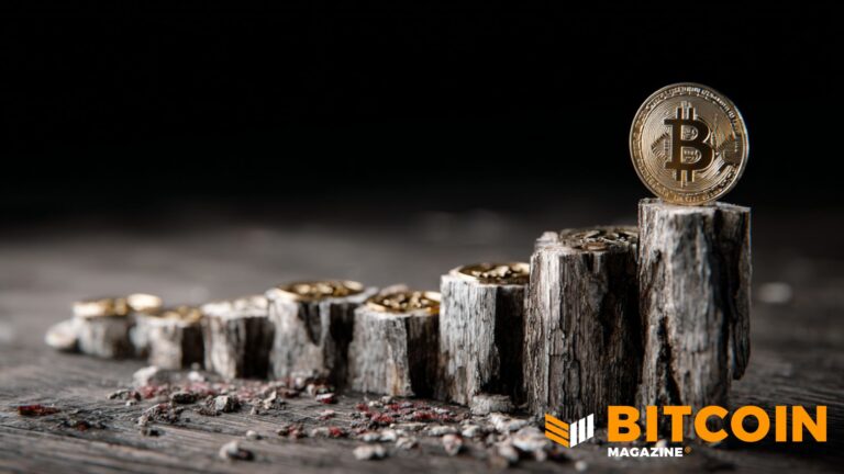 Bitcoin Moves Past Halfway Point In Halving Cycle As Supply Tightens Toward 2028