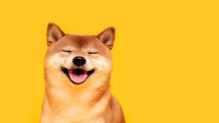 Dogecoin, shiba inu dive 9% as bitcoin nears $60,000