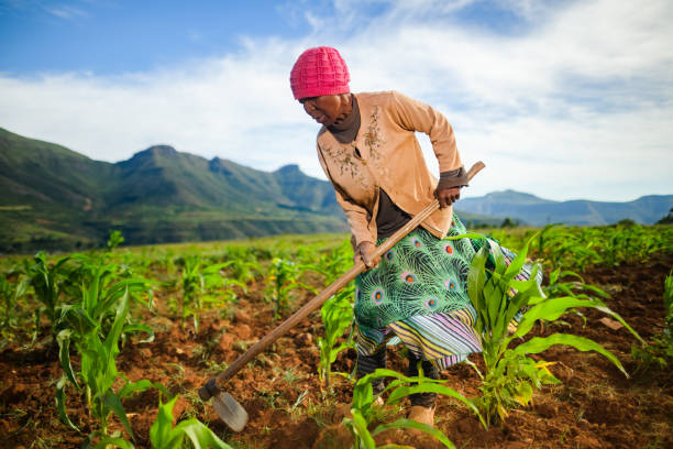 Fintech Ecosystem in the African Nation of Lesotho in 2026