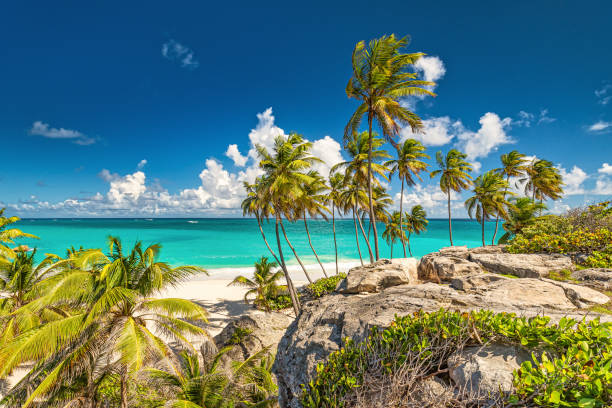 The Fintech Landscape of Central America: Belize in 2026