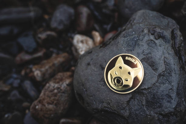 Return Of The Top Dog: Binance Whales Are Betting That The Shiba Inu Price Will Blow Up