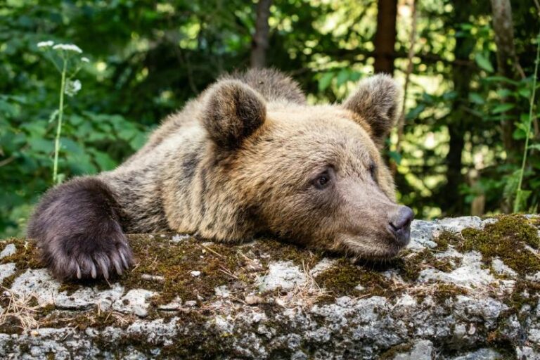 Crypto bears got it wrong again, losing $300 million in liquidations: Crypto Markets Today