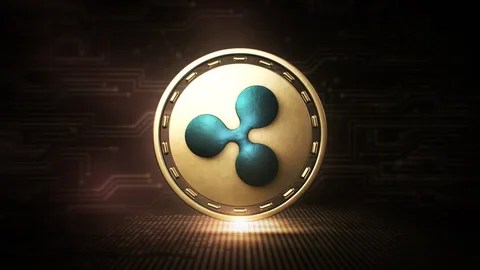 Here’s How Much Ripple’s CTO XRP Holdings Would Be Worth If He Never Sold