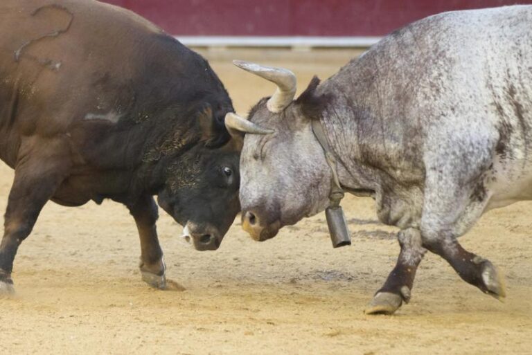 Bulls face a test unlike anything in bitcoin’s 17-year history: Crypto Daily